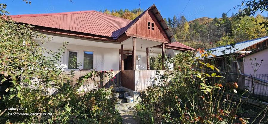 Cristea Gheorghe - 4