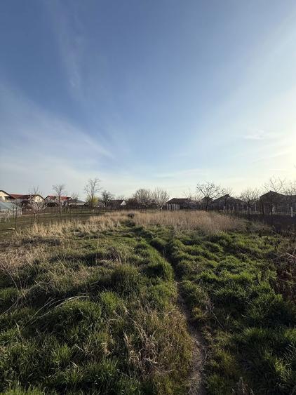 Teren ideal pentru casa noua Gai pozitie excelenta in Gai! - 6