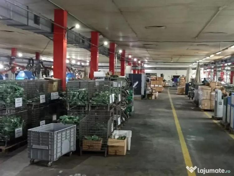 Inchiriez complex comercial in Husi, Jud. Vaslui ID:RH-44580-property - 15