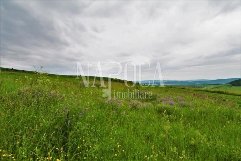 Teren extravilan pentru constructii de vanzare in Popesti - 5