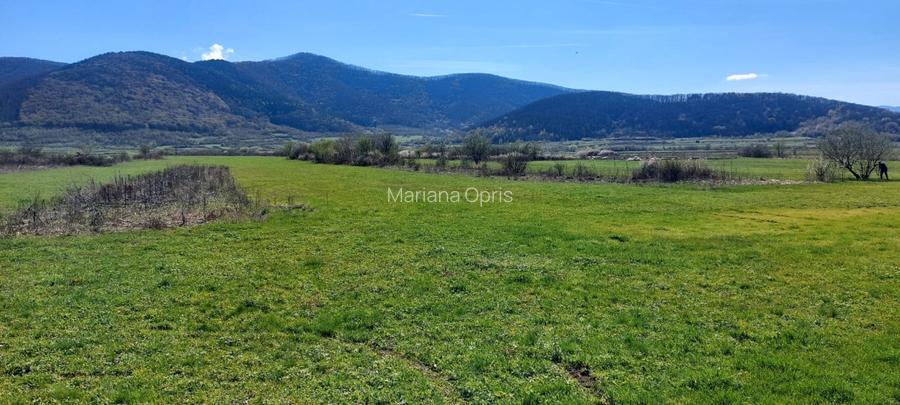 Teren  2250mp extravilan ,spre vanzare la iesirea din Poplaca