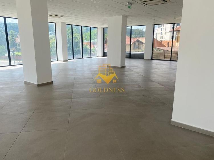 Spatiu comercial, Cartier Dambul Rotund, Lombului, Corneliu Coposu. - 5