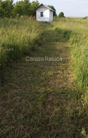 Oportunitate Investitie: 5050mp Intravilan in Almas Neamt - 3