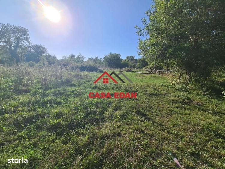 Teren intravilan in Cornu (Ph)--1490 mp--29e - 13