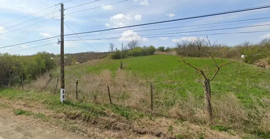 Teren de 5500 mp, în Cavadinești