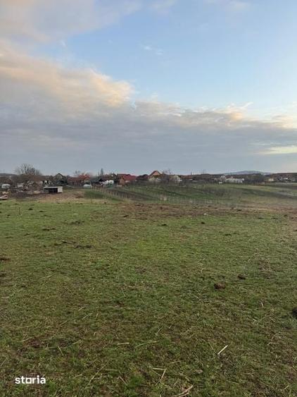 Vand teren 1377 intravilan - 4
