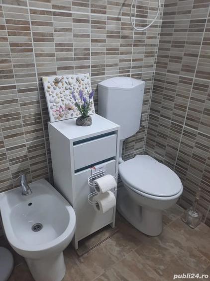 Casa de vanzare in Uileacul de munte cu doua cladiri in curte - 8