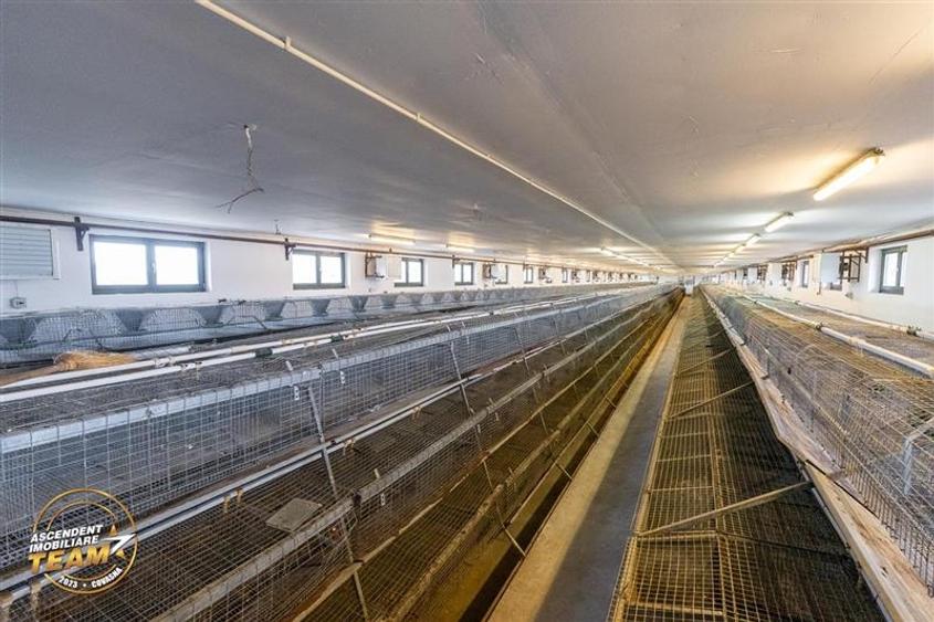 FILM! Ferma de iepuri,Malnas,Covasna: domeniu:industrial/comercial,asset UE - 10