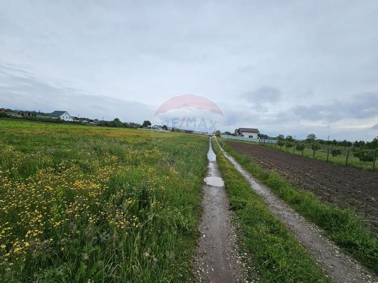 Teren 1,495mp Dobreni / Strada Parau Almas - 3