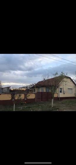 Vand casa 3 camere,hol,baie,bucatarie vara,camara,pivnita - 2