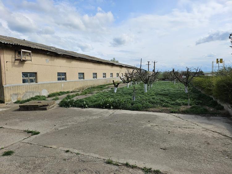 Ferma de vanzare sau la schimb cu teren arabil, imobiliare - 6
