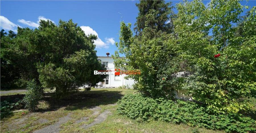 OPORTUNITATE INVESTITIONALA | HALA VASCAU - 14