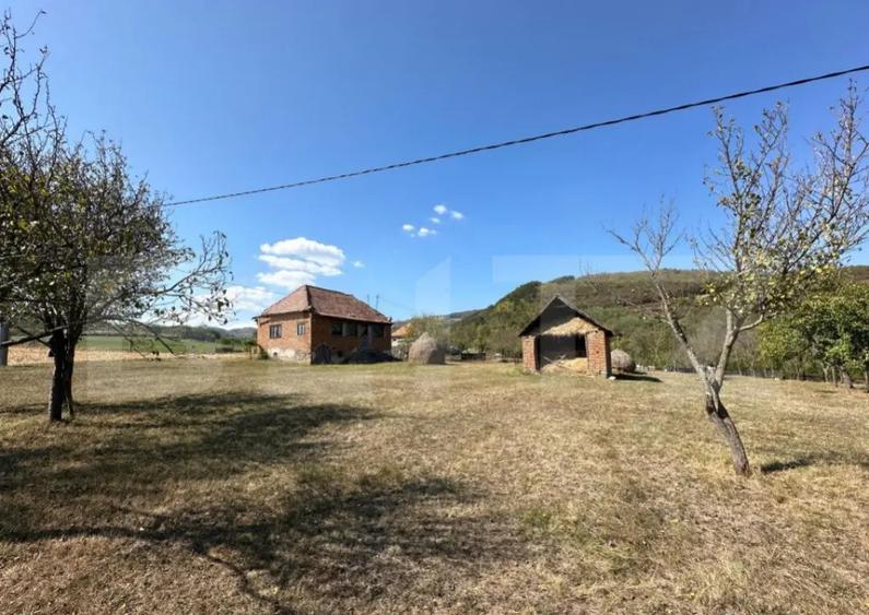 Teren intravilan de vanzare 14000mp,ideal pentru investitie, - 4