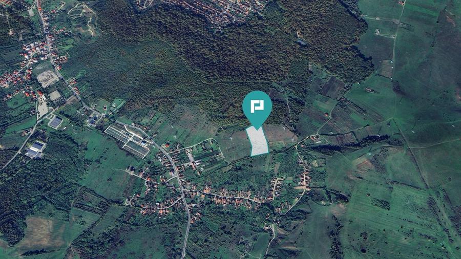 Teren fâneață lângă pădure - Hunedoara - 3