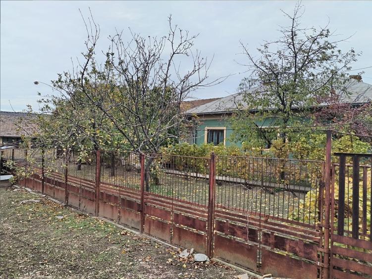 Casa cu teren -  central Segarcea - 15