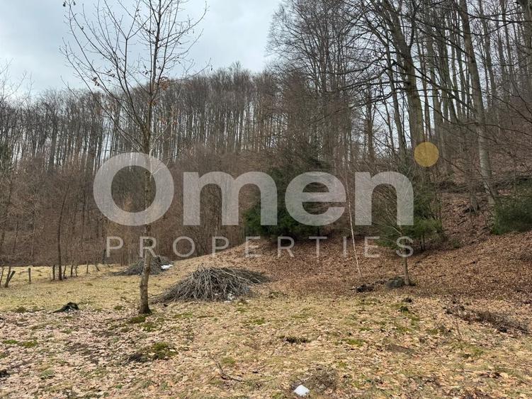 Teren extravilan de vânzare | 1402 mp | Blidari | zonă superbă - 1