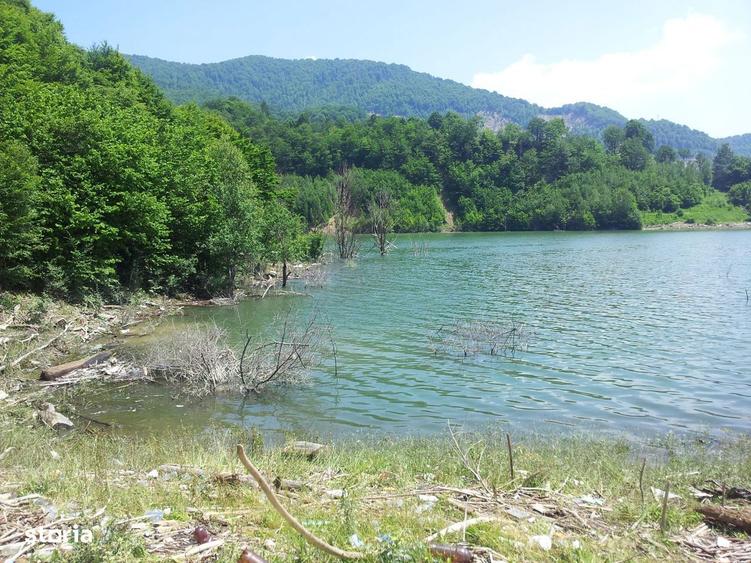 Teren unicat baraj Siriu Buzau 73000 mp - 2