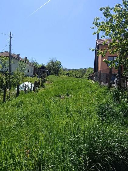 Teren de vanzare Pausesti Maglasi - 3