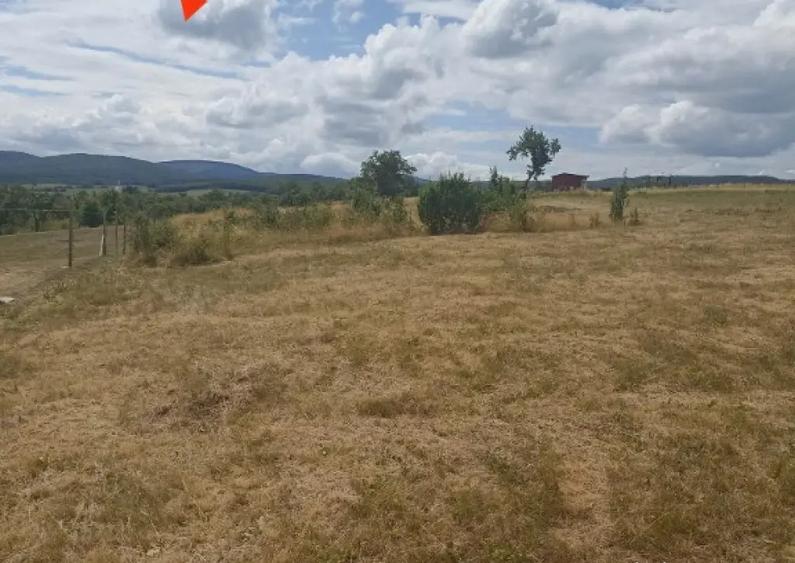 De vanzare teren extravilan in Valea Crisului - 2