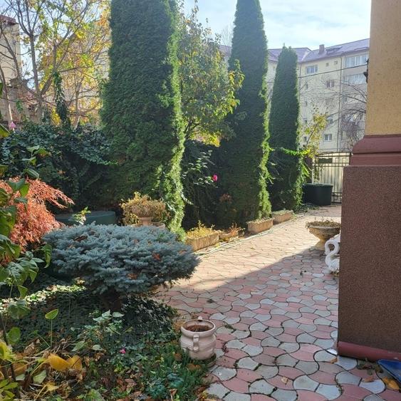 Vila boiereasca, superba, strada, linistita, nelipita de vreun alt imobil - 4