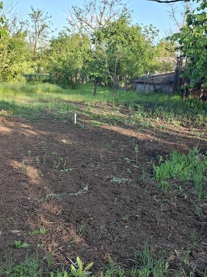 Vanzare Casa la curte,100 km de Bucure?ti de la Lehliu gara 20 km. - 5