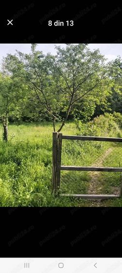 Casa batraneasca+Padure Fane?e - 1