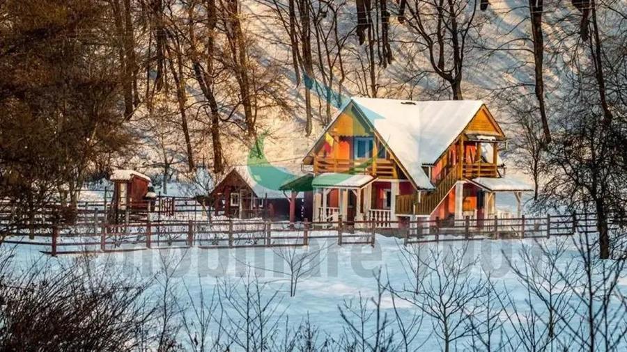 Casuta din Povesti, Baita, 1332 mp teren intravilan, la liziera padurii - 15