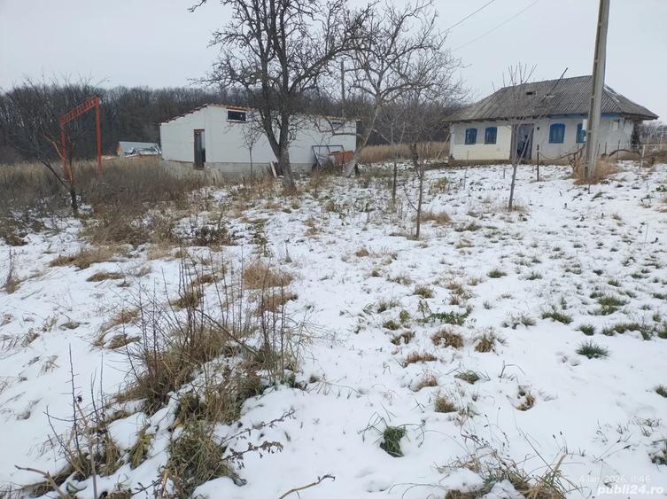 Hala pe Structura Metalica+ Casa batraneasca + 4800 m2 - 8