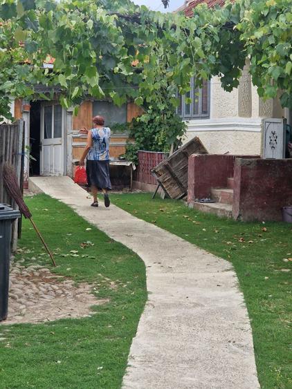 Vand gospodarie taraneasca - 3