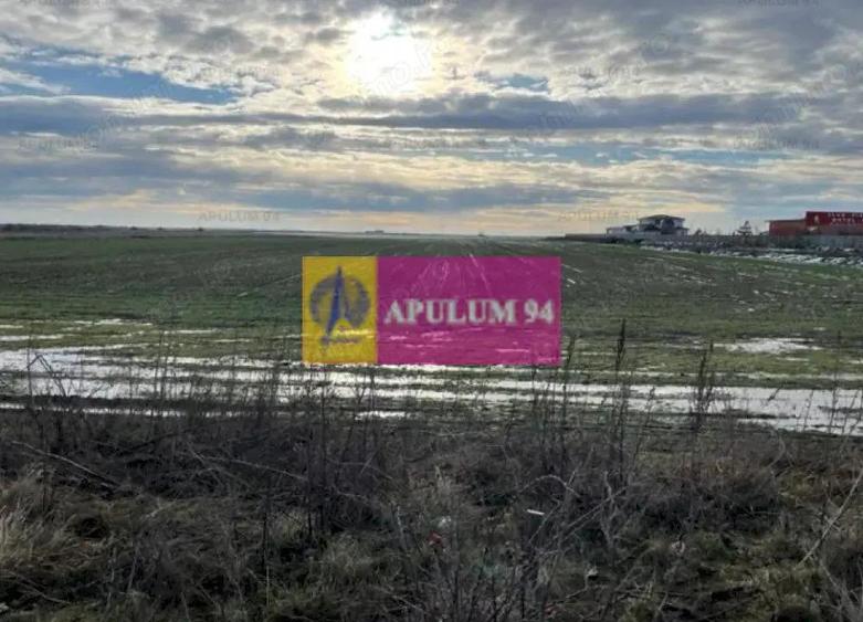 Teren Mihailesti- langa Dovinot. - 3