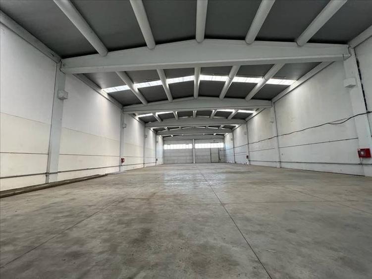 Hala de vanzare in Calea Sagului - platforma Incontro - 9