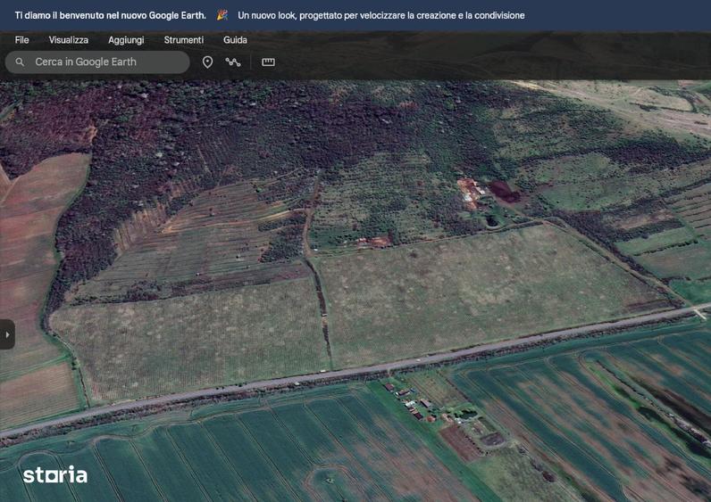 Lot compact 18,57 HA , vita de vie nobila pe rod - 5