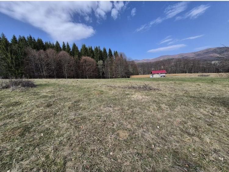 Teren intravilan la baza pădurii Valea Doftanei sat Traisteni (poduri) - 10