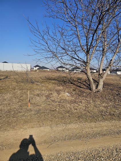 Teren de vanzare Ipotesti Suceava - 2