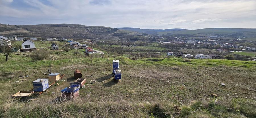 Oportunitate: Teren intravilan cu acces la asfalt Baciu, SunGarden - 5