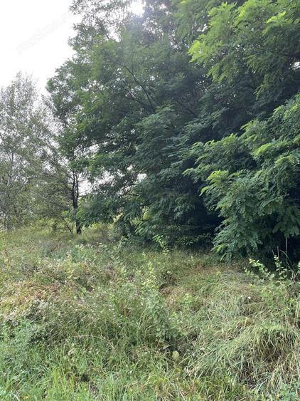 VAND TEREN PENTRU CONSTRUCTII, COM.CETATENI - ARGES - 6