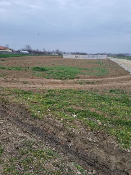 Teren intravilan Salcia 1097 mp utilitati aproape ideal casa 39.500 negociabil - 2