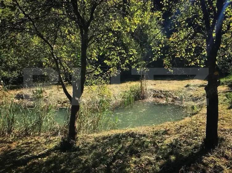 Casa de Vacan?a pe Valea Ighielului 3 camere, 2500 mp curte - 20