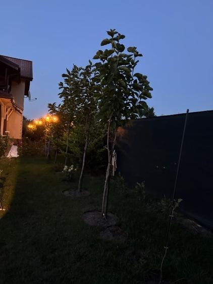 Vila premium de vânzare - 1