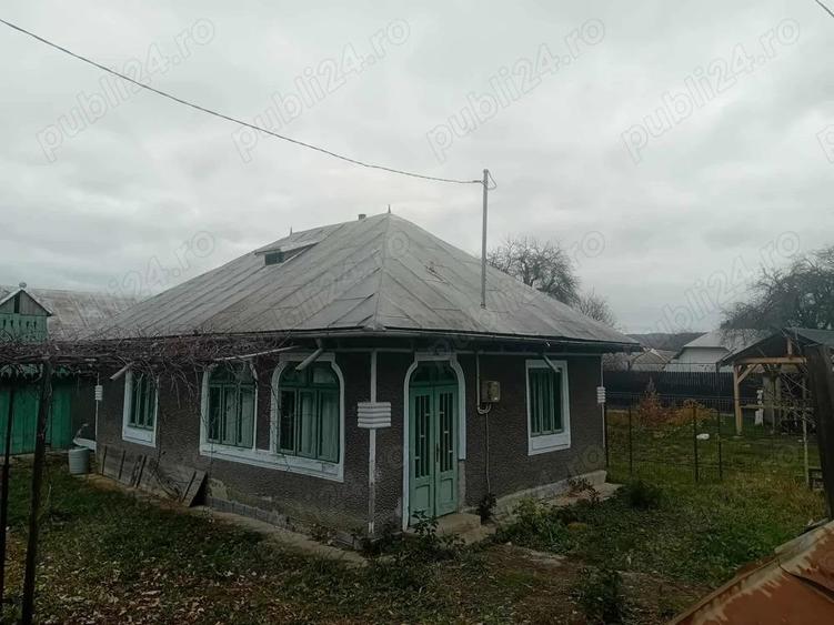 Casa Bodesti 50mp 2 camere bucataria anexe la sosea cu 1500mp teren lumina ,fintina cu apa - 10