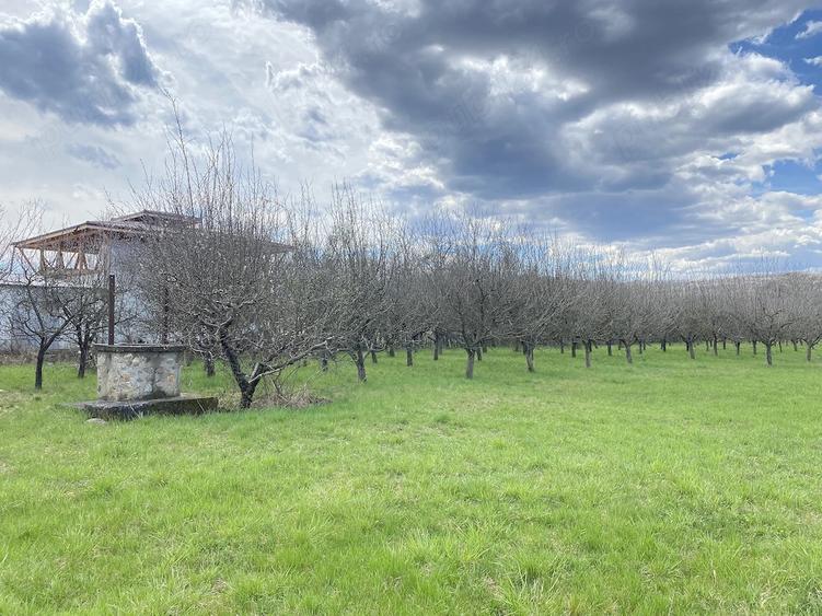 Teren de 7000 mp, în Berevoești