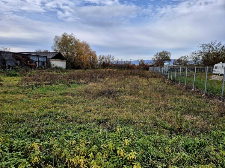 Teren constructie hala/depozit/mica insdustrie/service auto, Halchiu - 2