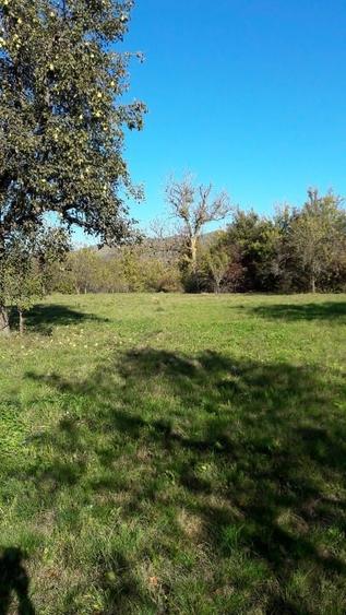 Teren intravilan în sat Făget, com. Drajna, Prahova - 6