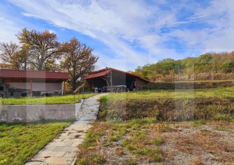 Casa de vanzare, sub padure, intr-un cadru natural deoseb - 3