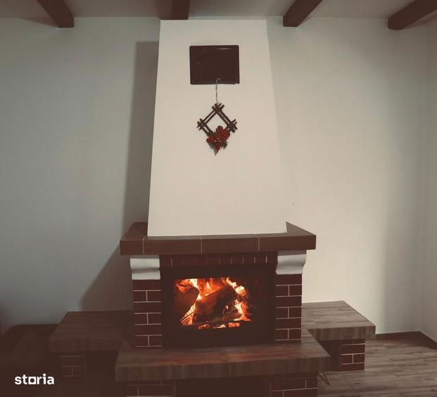 Casa de vacanta cu 5 camere si iesire la rau in Raul Sadului - 9