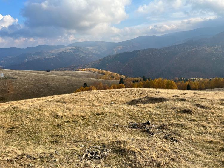 Teren de vanzare ideal pentru cabana Zona Valari, Paltini?(6131 m) - 1