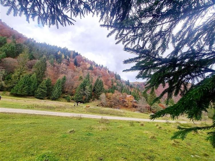 Parcela urbanizabila spectaculoasa,4.600 mp, priveliste emblematica:Piatra Craiu - 7