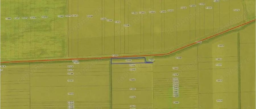 Teren extravilna Cota parte 1/16, CObadin, ID: R2782865 - 3