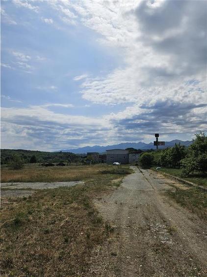 Proprietate Industriala - Productie - Industrie Alimentara - 38