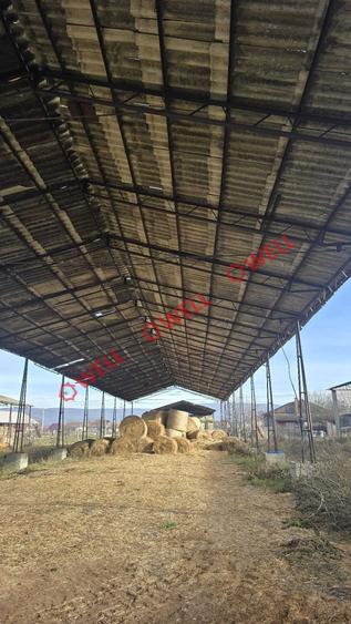 Teren industrial de vânzare în Ghidfalău cu depozit de fân! - 4
